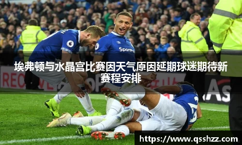 埃弗顿与水晶宫比赛因天气原因延期球迷期待新赛程安排